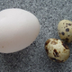 Illustration for article titled Fill an egg with crystals this weekend